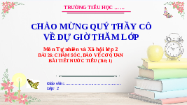 Giáo án điện tử Tự nhiên và Xã hội 2 Bài 26 Kết nối tri thức: Chăm sóc, bảo vệ cơ quan bài tiết nước tiểu