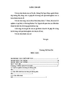 Khóa luận tốt nghiệp chuyên ngành Y dược về đề tài "Trùng voi đường sinh dục và một số bệnh lý liên quan"