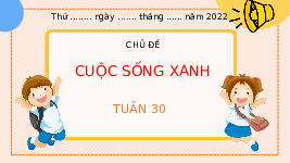 Giáo án điện tử Hoạt động trải nghiệm 3 Tuần 30 Chân trời sáng tạo: Cuộc sống xanh