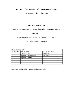Tiểu luận "Thực trạng giao thông đường bộ tại TP Hồ Chí Minh"