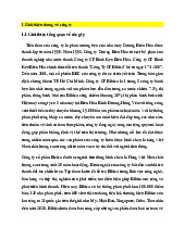 Thực hành Quản trị Bán hàng - Công Ty CP Bibica | Đại học Kinh tế kỹ thuật công nghiệp