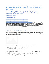 Hình chóp đều là gì? Hình chóp đều tam giác, hình chóp đều tứ giác