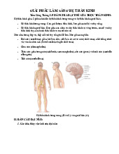 Giải phẫu chức năng hệ thần kinh trong lâm sàng | Môn Giải phẫu học - Đại học Kỹ thuật Y - Dược Đà Nẵng