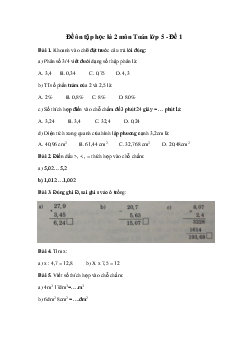 Đề thi học kì 2 môn Toán lớp 5 năm 2024 - Đề 1