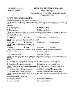 Đề thi học kì 2 môn Sinh học lớp 11 năm 2022 - 2023 | Đề 4