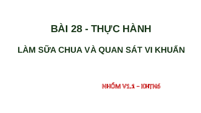 BÀI 28. Thực hành quan sát vi khuẩn | Bài giảng PowerPoint Khoa học tự nhiên 6 | Kết nối tri thức