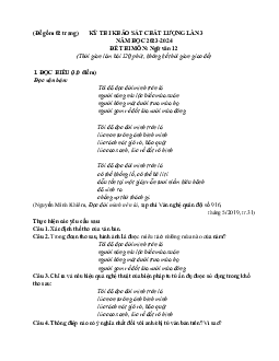 Đề thi thử THPT Quốc gia năm 2024 lần 3 môn Ngữ văn trường THPT Đội Cấn, Vĩnh Phúc