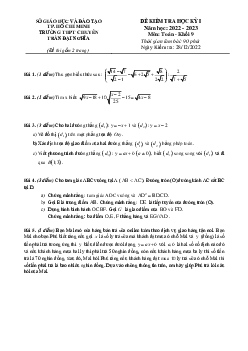 Đề học kỳ 1 Toán 9 năm 2022 – 2023 trường chuyên Trần Đại Nghĩa – TP HCM