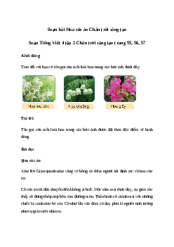 Soạn bài Đọc: Hoa cúc áo - Tiếng Việt 4 Chân trời sáng tạ