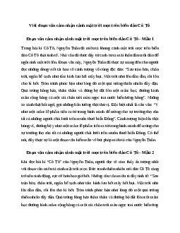 Văn mẫu lớp 6: Đoạn văn cảm nhận cảnh mặt trời mọc trên biển đảo Cô Tô (4 mẫu) | Kết nối tri thức