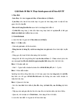 Giải Sinh 10 Bài 9: Thực hành quan sát tế bào | Kết nối tri thức
