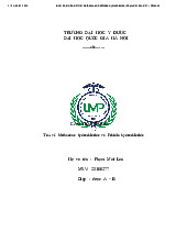 Báo cáo Tìm kiếm về Methadone hydrochloride và Pethidin hydrochloride môn Hóa Dược| Trường Đại học Y Dược, Đại học Quốc gia Hà Nội