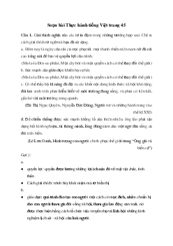 Thực hành tiếng Việt trang 45 | Soạn văn 11 Chân trời sáng tạo