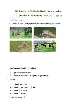 Giải Khoa học lớp 4 Bài 30: Chuỗi thức ăn trong tự nhiên | Chân trời sáng tạo