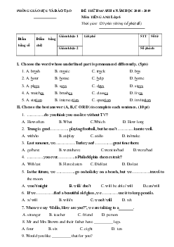 Đề thi học sinh giỏi lớp 6 môn Tiếng Anh năm học 2018 - 2019 số 13