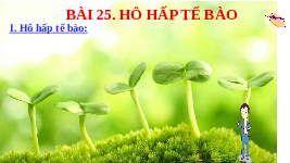 Giáo án điện tử Khoa học tự nhiên 7 bài 25 Chân trời sáng tạo : Hô hấp tế bào