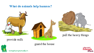 Bài giảng điện tử môn Tiếng Anh 7 Unit 4: In The Picture Lesson 7 - Writing | Friends Plus