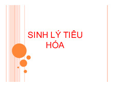 Bài giảng sinh lý tiêu hóa | Khoa Học Tự Nhiên 8