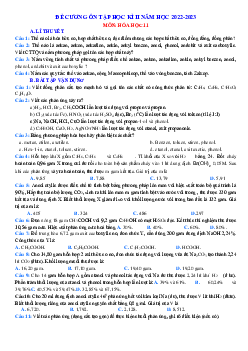 Đề cương ôn tập Hóa 11 giữa học kỳ 2 năm học 2022-2023