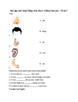 Bài tập cuối tuần Tiếng Anh lớp 3 Global Success - Tuần 7
