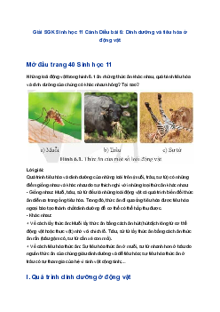 Giải SGK Sinh học 11 Cánh Diều bài 6: Dinh dưỡng và tiêu hóa ở động vật