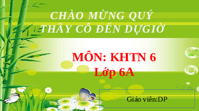 Giáo án điện tử Khoa học tự nhiên 6 bài 34 Kết nối tri thức : Thực vật