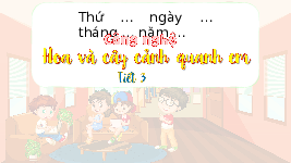 Giáo án điện tử Công nghệ 4 Cánh diều: Hoa và cây cảnh quanh em (tiết 3)