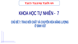 Giáo án điện tử Khoa học tự nhiên 7 bài 22 Chân trời sáng tạo : Vai trò của trao đổi chất và chuyển hóa năng lượng ở sinh vật