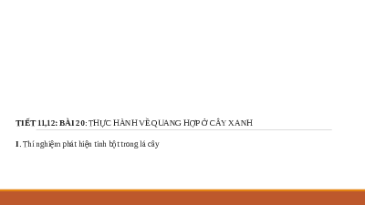 Giáo án điện tử Khoa học tự nhiên 7 Bài 20 Cánh diều: Thực hành về quang hợp ở cây xanh