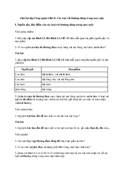 Giải Công nghệ 6 Bài 8: Các loại vải thường dùng trong may mặc | Cánh diều