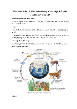 Giải Sinh 10 Bài 3: Giới thiệu chung về các cấp độ tổ chức của thế giới sống | Cánh diều