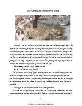 Cội nguồn văn hóa Việt Nam-Trường Đại học Ngoại ngữ- Đại học Quốc gia Hà Nội