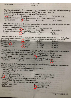 Đề thi tuyển sinh vào 10 môn Tiếng Anh của Sở GD&ĐT Thừa Thiên Huế năm học 2024 - 2025
