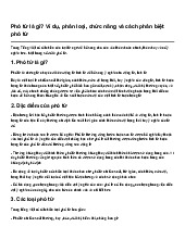Phó từ là gì? Ví dụ, phân loại, chức năng và cách phân biệt phó từ | Ngữ văn 6