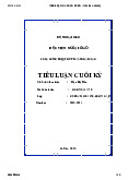 Tiểu luận cuối kỳ - Chính sách đối ngoại Việt Nam | Học viện Ngoại giao Việt Nam