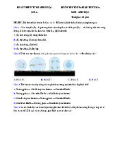 Đề thi thử tốt nghiệp THPT 2025 môn Sinh học bám sát đề minh họa - Đề 26
