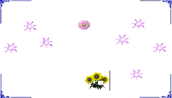 Giáo án điện tử Tiếng Việt 1 Tập 1 Bài 6 Kết nối tri thức: O o dấu phẩy