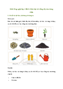 Giải Công nghệ lớp 4 Bài 5: Gieo hạt và trồng cây con trong chậu | Cánh diều