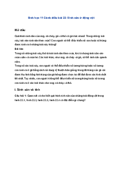 Sinh học 11 Cánh diều bài 22: Sinh sản ở động vật