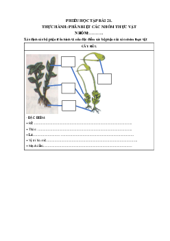 Chủ đề 8. Bài 21: Thực hành Phân chia các nhóm thực vật(Phiếu học tập) | Bài giảng KHTN 6 | Cánh diều
