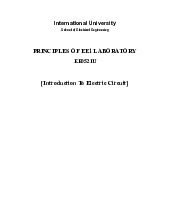 Lab Report 1 Guidelines | Môn Principles of EE 1 - Trường Đại học Quốc tế, Đại học Quốc gia Thành phố Hồ Chí Minh