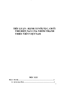 Tiểu luận: "Hành vi chửi thề, nói tục hiện nay của nhóm thanh thiếu niên Việt Nam"