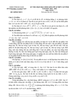 Đề học sinh giỏi Toán 10 cấp tỉnh năm 2022 – 2023 sở GD&ĐT Hà Nam