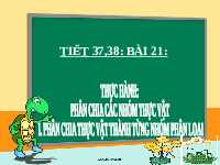 Giáo án điện tử Khoa học tự nhiên 6 bài 21 Kết nối tri thức : Thực hành phân chia các nhóm thực vật