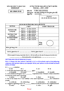 Đề thi tuyển sinh lớp 10 vào Trường THPT Chung năm 2017-2018 môn Tiếng Anh Sở GD Quảng Nam (có lời giải)
