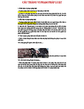 Cấu Thành Vi Phạm Pháp Luật: Các Yếu Tố và Ví Dụ Thực Tiễn