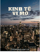 Tổng hợp trắc nghiệm môn Kinh tế vi mô | Trường Đại học Kinh Tế Quốc Dân