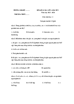Đề thi giữa học kì 2 môn Sinh học lớp 10 năm 2023 - 2024 (Sách mới) | Kết Nối Tri Thức đề 1
