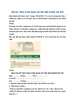 Giải Khoa học tự nhiên 9 Chân trời sáng tạo Bài 42: Thực hành: Quan sát tiêu bản nhiễm sắc thể