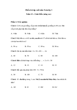 Phiếu bài tập cuối tuần Toán 3 - Tuần 13 (nâng cao) |  Cánh Diều